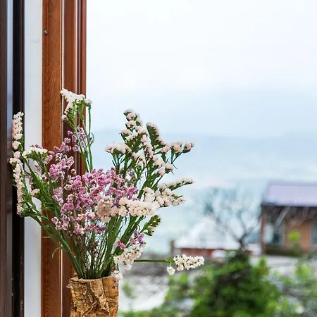 Dommu Anna 公寓 包内伊